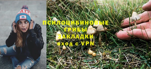 ALPHA PVP Аркадак